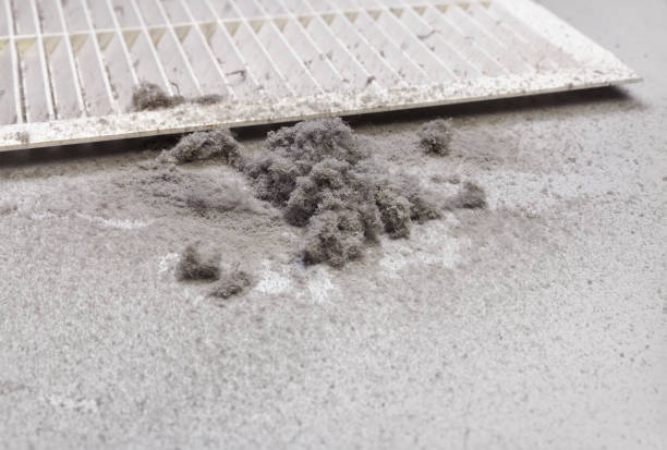 Best Affordable Duct Cleaning Services  in Northville, NY