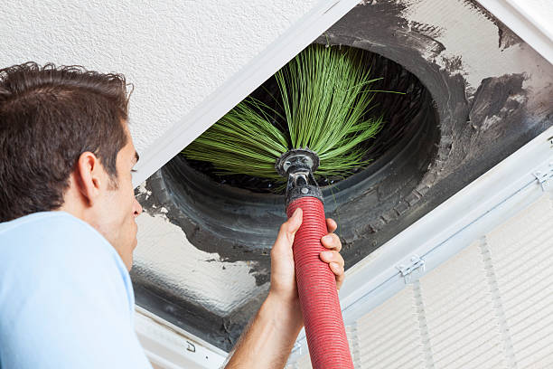 Best Air Duct Mold Removal  in Northville, NY