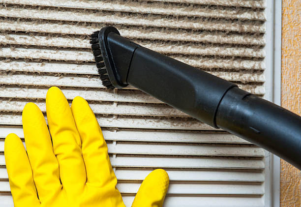 Air Duct Mold Removal in NY